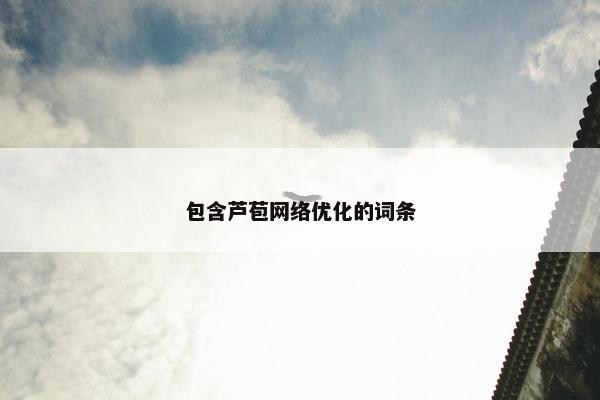 包含芦苞网络优化的词条