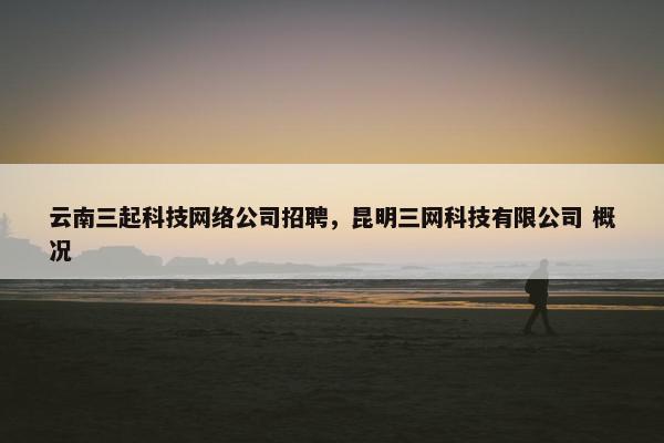 云南三起科技网络公司招聘，昆明三网科技有限公司 概况