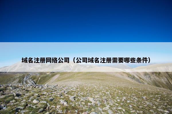 域名注册网络公司（公司域名注册需要哪些条件）