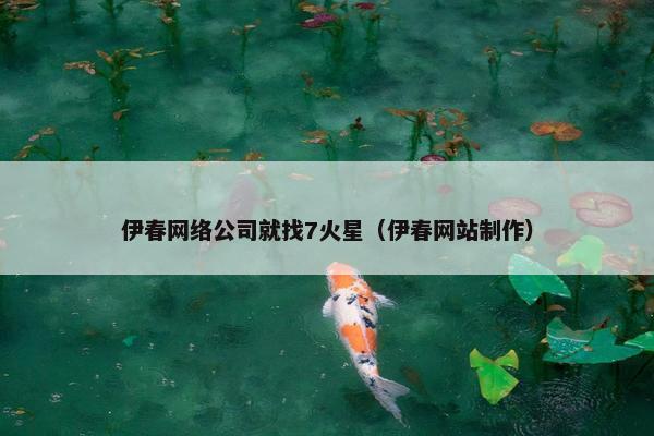 伊春网络公司就找7火星（伊春网站制作）