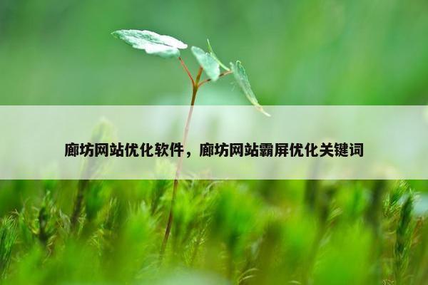 廊坊网站优化软件，廊坊网站霸屏优化关键词