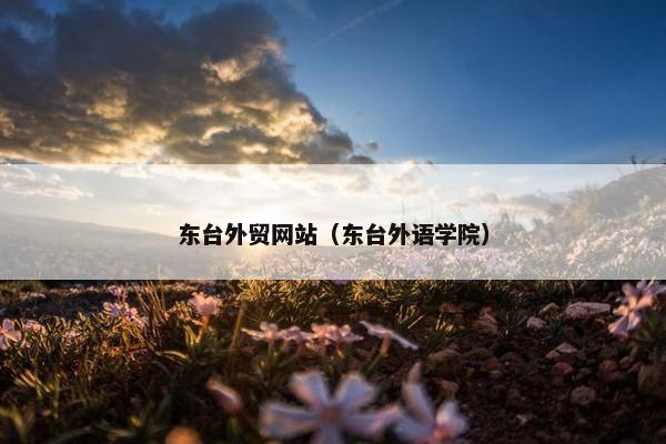 东台外贸网站（东台外语学院）