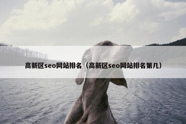 高新区seo网站排名（高新区seo网站排名第几）