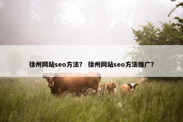 徐州网站seo方法？ 徐州网站seo方法推广？