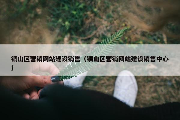 铜山区营销网站建设销售（铜山区营销网站建设销售中心）