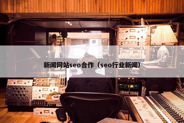 新闻网站seo合作（seo行业新闻）