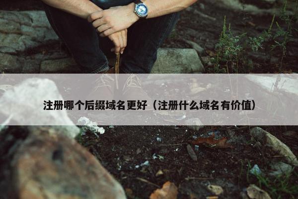 注册哪个后缀域名更好（注册什么域名有价值）