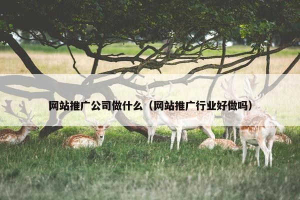 网站推广公司做什么（网站推广行业好做吗）