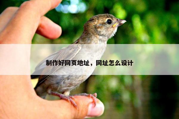 制作好网页地址，网址怎么设计