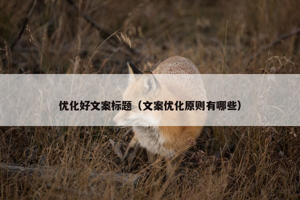 优化好文案标题（文案优化原则有哪些）