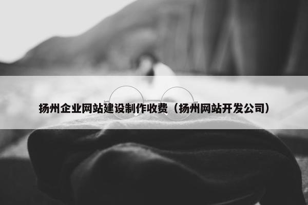 扬州企业网站建设制作收费（扬州网站开发公司）