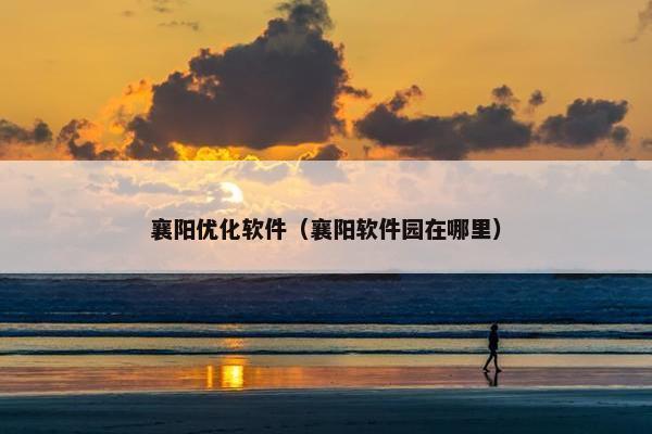 襄阳优化软件（襄阳软件园在哪里）