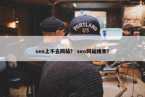 seo上不去网站？ seo网站搜索？