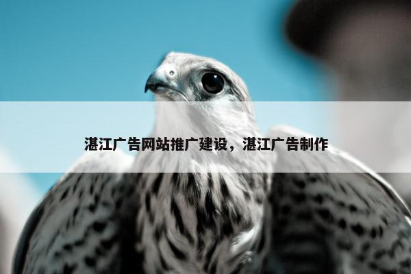湛江广告网站推广建设，湛江广告制作