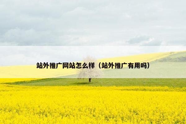 站外推广网站怎么样（站外推广有用吗）