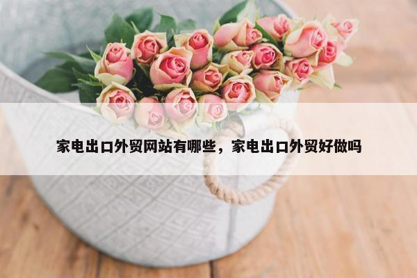 家电出口外贸网站有哪些，家电出口外贸好做吗