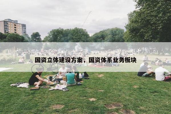 国资立体建设方案，国资体系业务板块