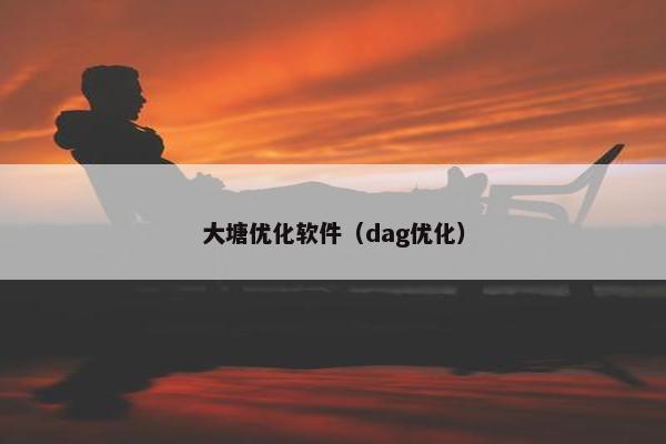 大塘优化软件（dag优化）