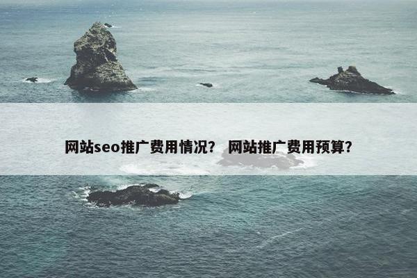网站seo推广费用情况？ 网站推广费用预算？