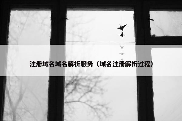 注册域名域名解析服务（域名注册解析过程）