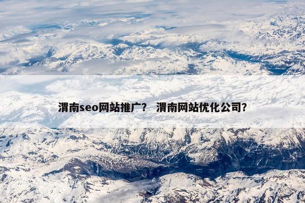 渭南seo网站推广？ 渭南网站优化公司？
