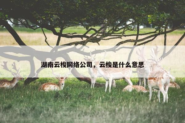 湖南云梭网络公司，云梭是什么意思