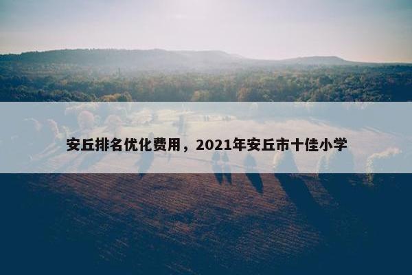 安丘排名优化费用，2021年安丘市十佳小学
