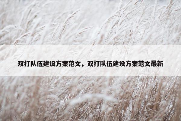 双打队伍建设方案范文，双打队伍建设方案范文最新