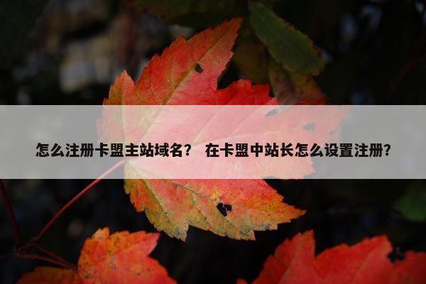 怎么注册卡盟主站域名？ 在卡盟中站长怎么设置注册？