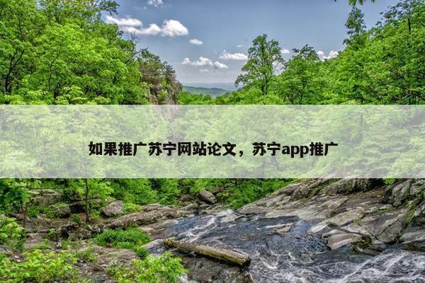 如果推广苏宁网站论文，苏宁app推广