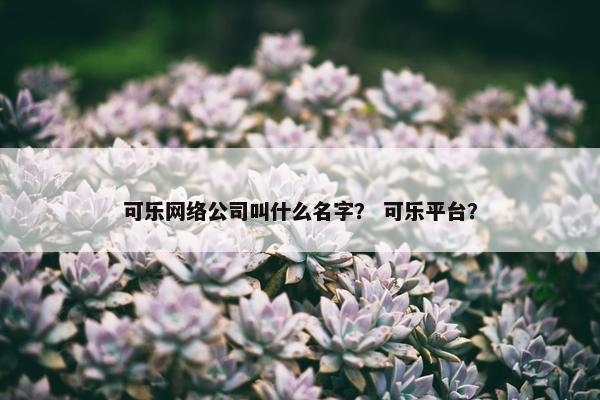 可乐网络公司叫什么名字？ 可乐平台？