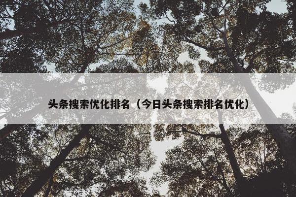 头条搜索优化排名（今日头条搜索排名优化）