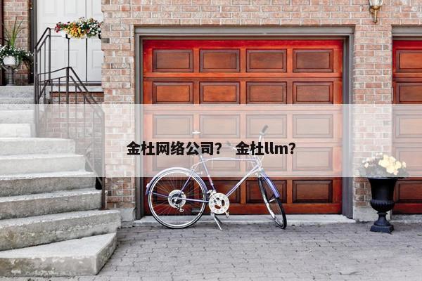 金杜网络公司？ 金杜llm？