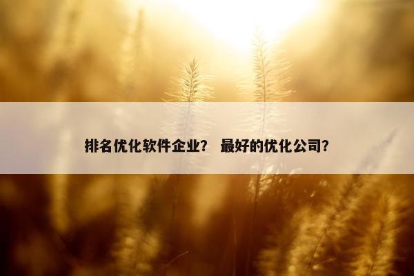 排名优化软件企业？ 最好的优化公司？