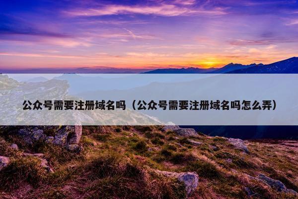公众号需要注册域名吗（公众号需要注册域名吗怎么弄）