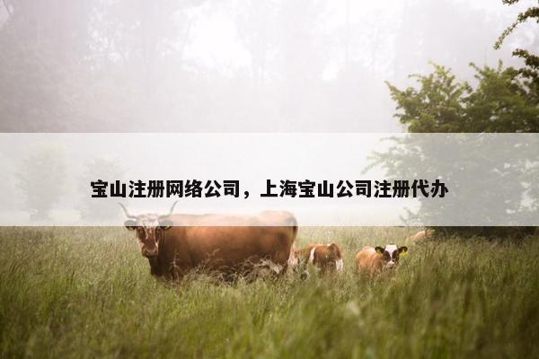 宝山注册网络公司，上海宝山公司注册代办