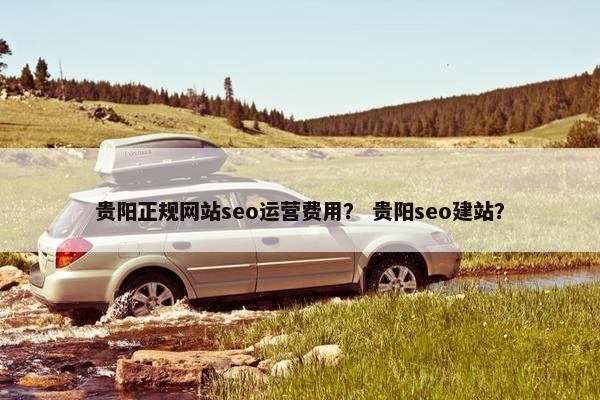 贵阳正规网站seo运营费用？ 贵阳seo建站？