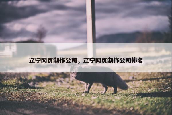 辽宁网页制作公司，辽宁网页制作公司排名
