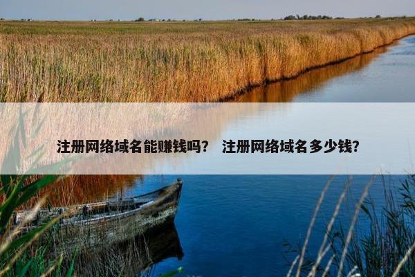 注册网络域名能赚钱吗？ 注册网络域名多少钱？