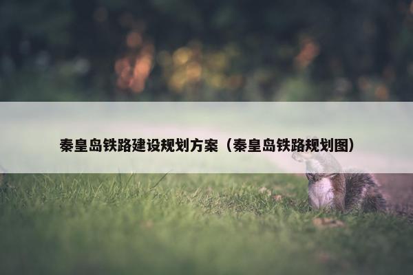秦皇岛铁路建设规划方案（秦皇岛铁路规划图）