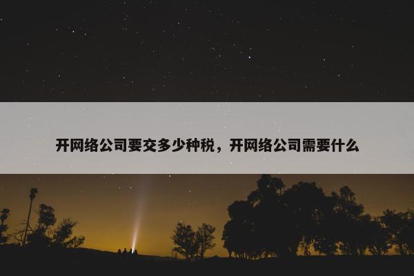 开网络公司要交多少种税，开网络公司需要什么