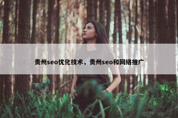 贵州seo优化技术，贵州seo和网络推广