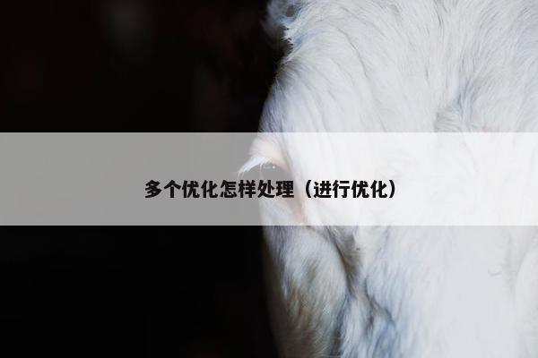 多个优化怎样处理（进行优化）