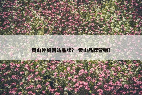 黄山外贸网站品牌？ 黄山品牌营销？
