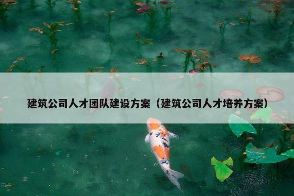 建筑公司人才团队建设方案（建筑公司人才培养方案）