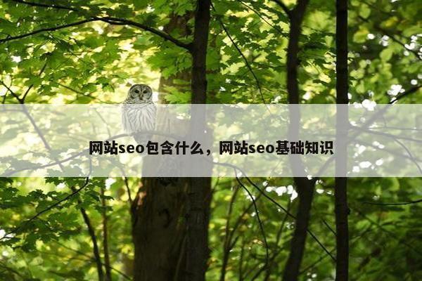 网站seo包含什么，网站seo基础知识