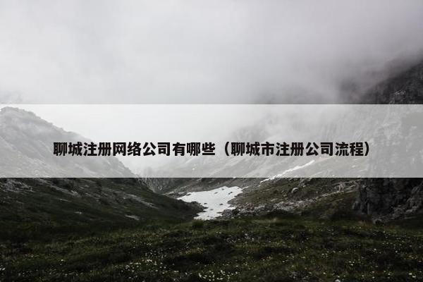 聊城注册网络公司有哪些（聊城市注册公司流程）