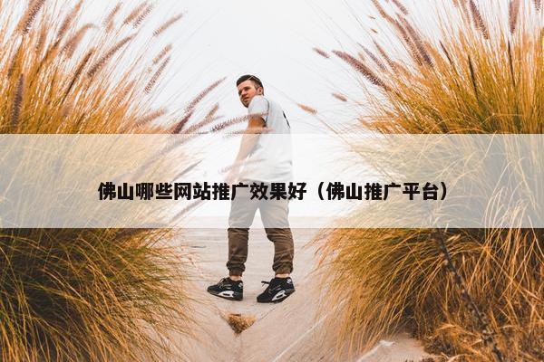 佛山哪些网站推广效果好（佛山推广平台）