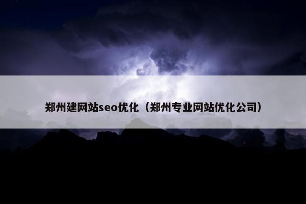 郑州建网站seo优化（郑州专业网站优化公司）