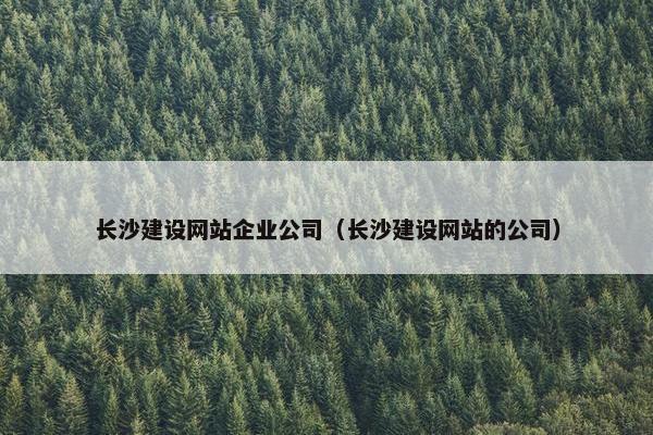 长沙建设网站企业公司（长沙建设网站的公司）
